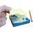 Info Z-Notes Recycling Haftnotizen gelb, 1 Pack