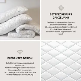 SCHIESSER 4-Jahreszeiten Bettdecke Lykke | 2-teilige Steppdecke mit Druckknöpfen | Sommerdecke & Übergangsdecke kombinierbar | Oeko-TEX® Standard 100 135x200 cm