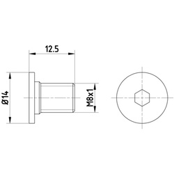 Schraube, Bremsscheibe TEXTAR TPM0002