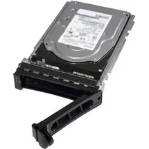 Dell 2 TB 3,5" 7200 U/min 6 Gbit/s