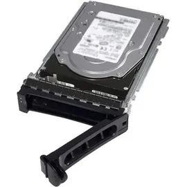 Dell 2 TB 3,5" 7200 U/min 6 Gbit/s
