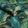 Envy Leaf It Out Midnight, Sunrise and Twilight 0,52 m x 10 m 10 m2 Dunkelblau/Grün
