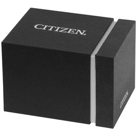 CITIZEN Tsuyosa NK5010-51X