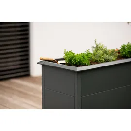 Westmann Primus M 100 x 50 x 77 cm Anthrazit