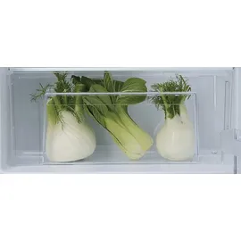 Bauknecht KSI 9VF2E Einbaukühlschrank (126 l, E, 875 mm hoch}, Weiß)