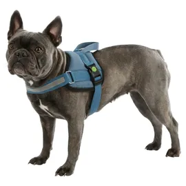 Kerbl Maestro 2.0 mit Adresstube (72-103cm) - - 72-103cm