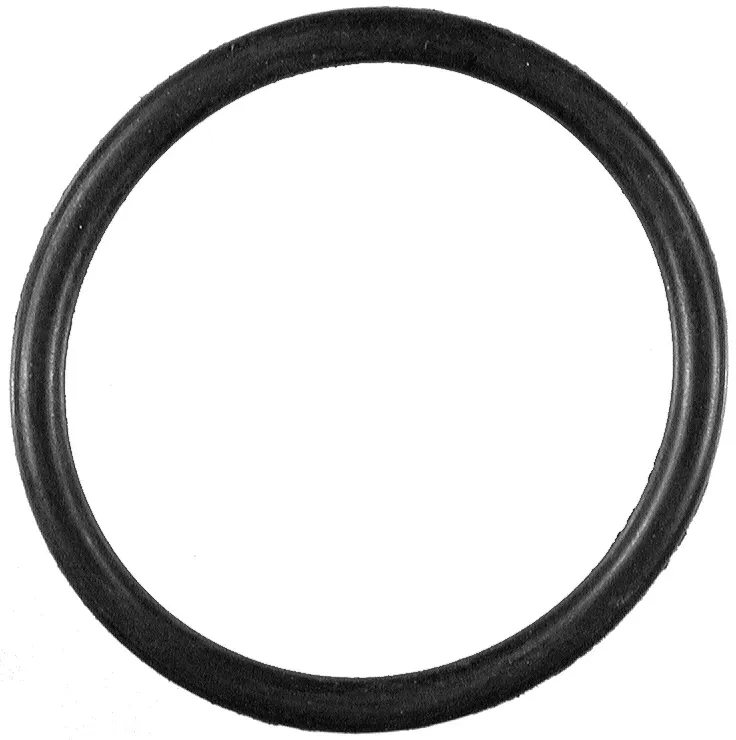 FACET Dichtung, Thermostat 79533 für VW