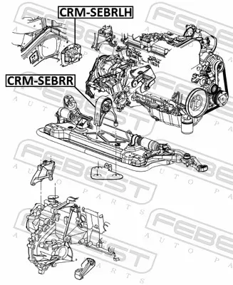 FEBEST Lagerung, Motor crmsebrr hinten für Chrysler ALFAROME/Fiat/LANCI