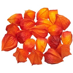 Deko-Physalis, 24 Stück