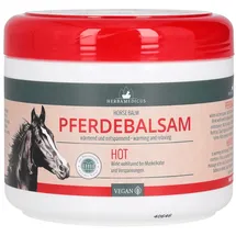 Axisis Pferdebalsam Hot Herbamedicus