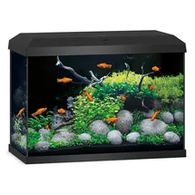JUWEL AQUARIUM Primo 70 2.0 Zubehör schwarz