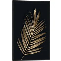 Bild ARECA PALMS - bunt