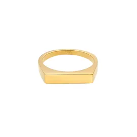 Elli Ring 925 Silber Pinky Ring, Siegelring in gold, | Gr.: 48