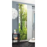 HOME WOHNIDEEN Schiebegardine NEWCASTLE (1 St), Klettband, blickdicht, HxB: 245x60, inkl. Befestigungszubehör grün