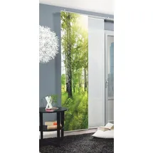 HOME WOHNIDEEN Schiebegardine NEWCASTLE (1 St), Klettband, blickdicht, HxB: 245x60, inkl. Befestigungszubehör grün