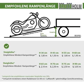 Trutzholm Schwerlastrampen 265 cm 3300 kg