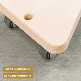 Wagner Transporthilfe Tragkraft 100 kg