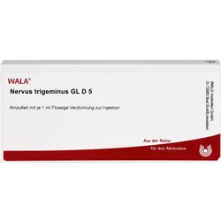 Nervus Trigeminus Gl D5 Ampullen