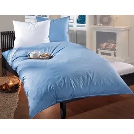 RIBECO "Leon", silberweiß 90% 10% Federn, 155x220 cm blau extrawarm