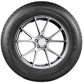 ANTARES Grip WP 235/65 R17 108S XL