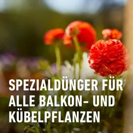 Compo Balkon- und Kübelpflanzendünger 2,5 l