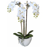 Creativ green Kunstpflanze »Mini Orchidee«, weiß