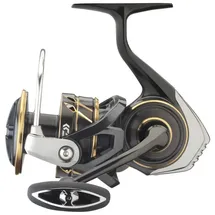 Daiwa 23 CALDIA SW 8000-H (EU) Meeres-Spinnrolle
