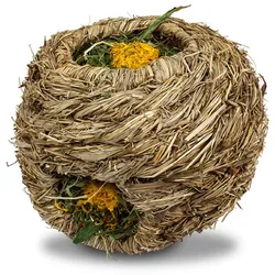 JR FARM Nager Löwenzahn-Nest 130g Kleintiersnack