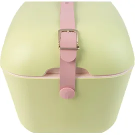 POLARBOX Kühlbox Pop 20 l