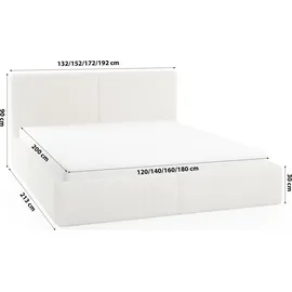 FEDVE Polsterbett Doppelbett Riberia Slim Bett mit Bettkasten 120x200 - Creme