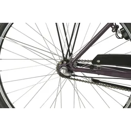Prophete Geniesser 100 2023 28 Zoll RH 46 cm Damen lila