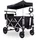 FUXTEC Bollerwagen FX-CTL950 schwarz