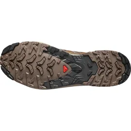 Salomon XA Pro 3D V9 Herren Falcon/Desert Tan/Black 47 1/3