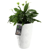 Kadax Blumentopf mit Einsatz und Griffen, aus Kunststoff, 58.5