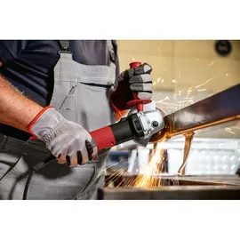 Flex L 13-10 125-EC + FixTec Mutter