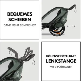 hauck Bike N Walk Duo Fahrradanhänger grün 2023