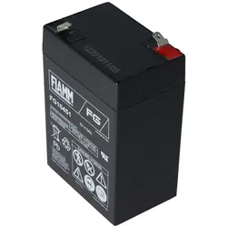 FIAMM 6 Volt Akku für Peg Perego Fahrzeuge 6 Volt 4500mAh ohne Kabel