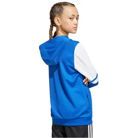 adidas Squadra 25 Team Royal Blue 164