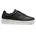 Black 43