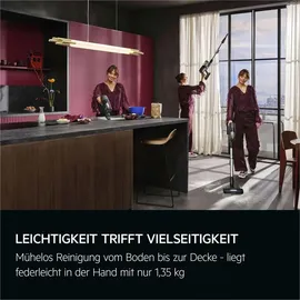 AEG All-in-One 7000 Akku-Staubsauger AP72ABEPP