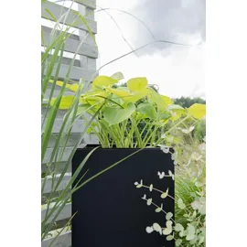 Vivanno Pflanzkübel Block 80 x 40 x 40 cm anthrazit