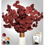 Angebot Black Week Birkental Eukalyptus - extra langlebige und 65-70 cm Lange Trockenblumen Deko - getrocknetes Eukalyptus - getrocknete Blumen , Vase Trockenblumenstrauß , Boho Deko (Rot)
