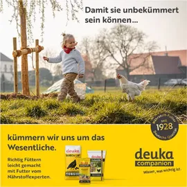 deukavallo deuka Legewachtelfutter gekörnt 25 kg)