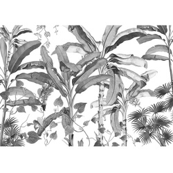 KOMAR Vliestapete, Blumen, bunt - schwarz