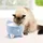Catit Pixi Trinkbrunnen blau