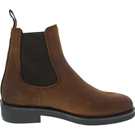 GANT Prepdale Herren Braun 40