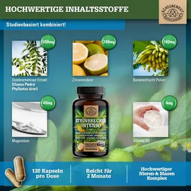 Scheunengut Scheunengut® Steinbrecher Intenso | Die Original Nierenstein-Formel aus der TCM Chanca Piedra 120 St