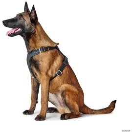 Hunter Geschirr Aalborg