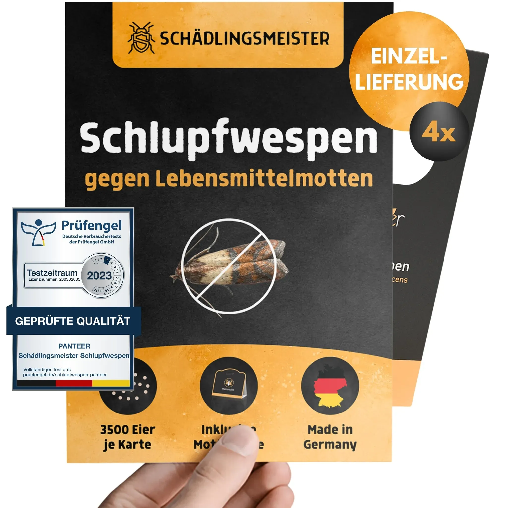 schlupfwespen