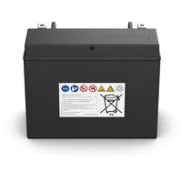 Bosch 0 986 FA1 230 AGM 21 Ah 330 A